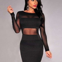Black Mesh Sexy Bodycon Long Sleeves Dress