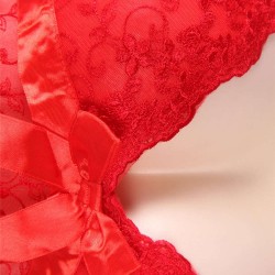 Red Sexy Draping Mesh and Lace Babydoll Set Red Sexy Draping Mesh and Lace Babydoll Set