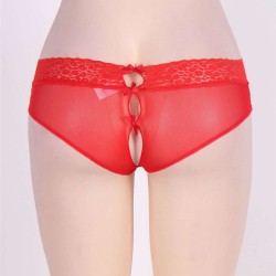 Sexy Holiday Peek A Boo Back Mesh Crotchless Valentines Panty