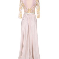 Apricot Transparent Embroidery Gown
