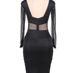 Black Mesh Sexy Bodycon Long Sleeves Dress
