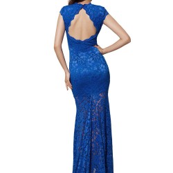 Blue Lace Backless Short Sleeve Party Gown
