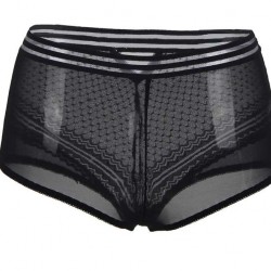 Plus Size Sexy High Waist Perspective Panty