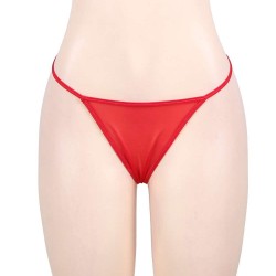 Plus Size Red Sexy Lace Garter Panty