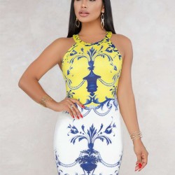 Printed Backless Tight Dress