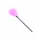 Sex Games Flirt Pink Feather